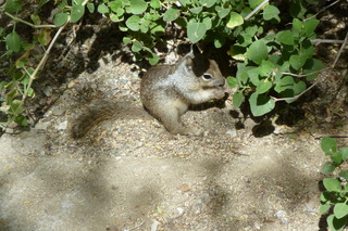 Filename=P1010820.JPG
Filesize=4854KiB
Dimensions=4320x2880
Date added=Sep 23, 2019 P1010820.JPG