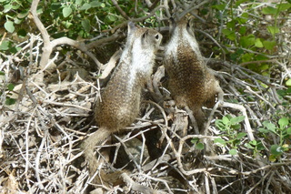 Filename=P1010822.JPG
Filesize=5534KiB
Dimensions=4320x2880
Date added=Sep 23, 2019 P1010822.JPG