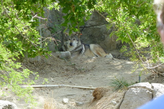 Filename=P1010826.JPG
Filesize=5688KiB
Dimensions=4320x2880
Date added=Sep 23, 2019 P1010826.JPG