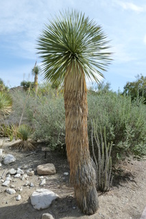 Filename=P1010831.JPG
Filesize=4209KiB
Dimensions=2880x4320
Date added=Sep 23, 2019 P1010831.JPG