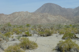 Filename=P1010834.JPG
Filesize=5365KiB
Dimensions=4320x2880
Date added=Sep 23, 2019 P1010834.JPG