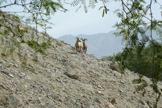 Filename=P1010840.JPG
Filesize=5109KiB
Dimensions=4320x2880
Date added=Sep 23, 2019 P1010840.JPG