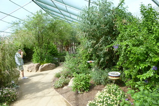 Filename=P1010845.JPG
Filesize=5201KiB
Dimensions=4320x2880
Date added=Sep 23, 2019 P1010845.JPG