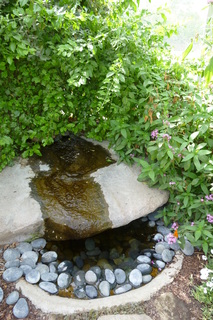 Filename=P1010850.JPG
Filesize=4653KiB
Dimensions=2880x4320
Date added=Sep 23, 2019 P1010850.JPG