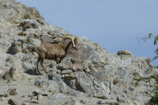 Filename=P1010855.JPG
Filesize=4994KiB
Dimensions=4320x2880
Date added=Sep 23, 2019 P1010855.JPG