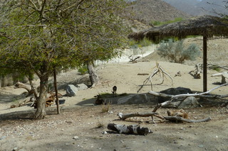 Filename=P1010856.JPG
Filesize=5171KiB
Dimensions=4320x2880
Date added=Sep 23, 2019 P1010856.JPG