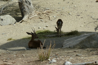 Filename=P1010857.JPG
Filesize=5189KiB
Dimensions=4320x2880
Date added=Sep 23, 2019 P1010857.JPG