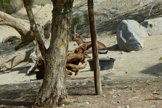 Filename=P1010858.JPG
Filesize=5358KiB
Dimensions=4320x2880
Date added=Sep 23, 2019 P1010858.JPG