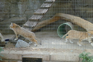 Filename=P1010860.JPG
Filesize=5182KiB
Dimensions=4320x2880
Date added=Sep 23, 2019 P1010860.JPG