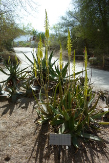 Filename=P1010862.JPG
Filesize=4402KiB
Dimensions=2880x4320
Date added=Sep 23, 2019 P1010862.JPG