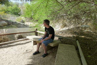 Filename=P1010872.JPG
Filesize=5324KiB
Dimensions=4320x2880
Date added=Sep 23, 2019 P1010872.JPG