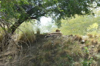 Filename=P1010874.JPG
Filesize=5147KiB
Dimensions=4320x2880
Date added=Sep 23, 2019 P1010874.JPG