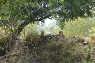 Filename=P1010876.JPG
Filesize=5662KiB
Dimensions=4320x2880
Date added=Sep 23, 2019 P1010876.JPG