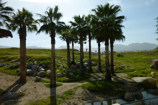 Filename=P1010880.JPG
Filesize=5008KiB
Dimensions=4320x2880
Date added=Sep 23, 2019 P1010880.JPG