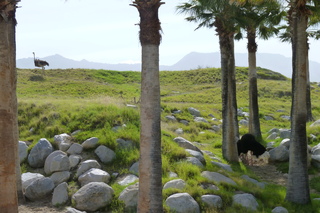 Filename=P1010885.JPG
Filesize=5233KiB
Dimensions=4320x2880
Date added=Sep 23, 2019 P1010885.JPG