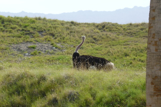 Filename=P1010888.JPG
Filesize=5100KiB
Dimensions=4320x2880
Date added=Sep 23, 2019 P1010888.JPG