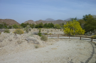 Filename=P1010897.JPG
Filesize=5191KiB
Dimensions=4320x2880
Date added=Sep 23, 2019 P1010897.JPG