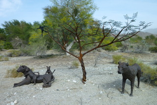 Filename=P1010903.JPG
Filesize=4870KiB
Dimensions=4320x2880
Date added=Sep 23, 2019 P1010903.JPG