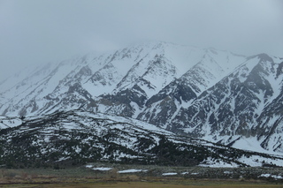 Filename=P1020716.JPG
Filesize=5017KiB
Dimensions=4320x2880
Date added=Sep 23, 2019 P1020716.JPG