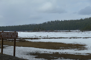 Filename=P1020718.JPG
Filesize=4822KiB
Dimensions=4320x2880
Date added=Sep 23, 2019 P1020718.JPG