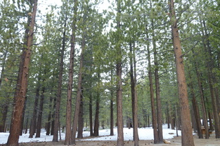 Filename=P1020721.JPG
Filesize=5011KiB
Dimensions=4320x2880
Date added=Sep 23, 2019 P1020721.JPG