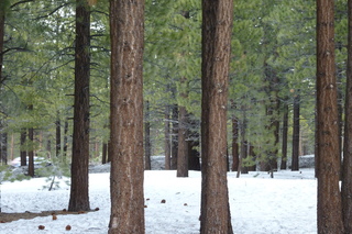 Filename=P1020724.JPG
Filesize=5602KiB
Dimensions=4320x2880
Date added=Sep 23, 2019 P1020724.JPG