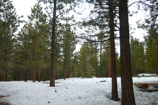 Filename=P1020726.JPG
Filesize=5330KiB
Dimensions=4320x2880
Date added=Sep 23, 2019 P1020726.JPG