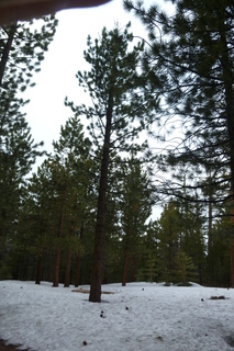 Filename=P1020727.JPG
Filesize=4657KiB
Dimensions=2880x4320
Date added=Sep 23, 2019 P1020727.JPG