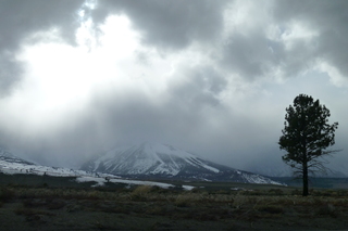 Filename=P1020731.JPG
Filesize=4355KiB
Dimensions=4320x2880
Date added=Sep 23, 2019 P1020731.JPG