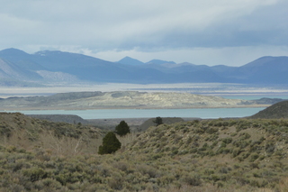 Filename=P1020735.JPG
Filesize=5074KiB
Dimensions=4320x2880
Date added=Sep 23, 2019 P1020735.JPG