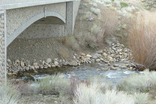 Filename=P1020736.JPG
Filesize=5033KiB
Dimensions=4320x2880
Date added=Sep 23, 2019 P1020736.JPG