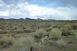 Filename=P1020738.JPG
Filesize=5381KiB
Dimensions=4320x2880
Date added=Sep 23, 2019 P1020738.JPG