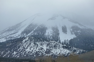 Filename=P1020740.JPG
Filesize=4840KiB
Dimensions=4320x2880
Date added=Sep 23, 2019 P1020740.JPG