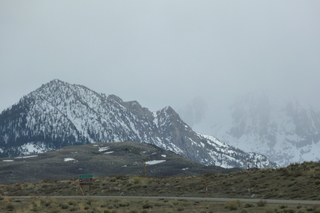 Filename=P1020742.JPG
Filesize=4878KiB
Dimensions=4320x2880
Date added=Sep 23, 2019 P1020742.JPG