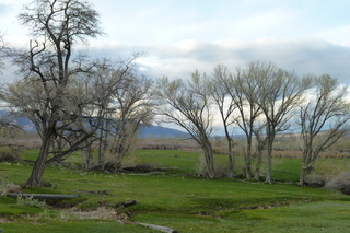 Filename=P1020767.JPG
Filesize=5549KiB
Dimensions=4320x2880
Date added=Sep 23, 2019 P1020767.JPG