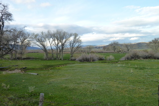 Filename=P1020769.JPG
Filesize=5119KiB
Dimensions=4320x2880
Date added=Sep 23, 2019 P1020769.JPG