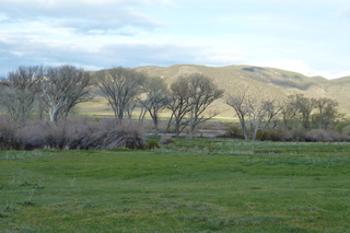 Filename=P1020770.JPG
Filesize=5060KiB
Dimensions=4320x2880
Date added=Sep 23, 2019 P1020770.JPG