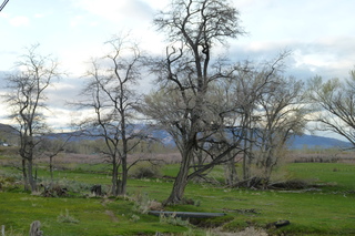 Filename=P1020776.JPG
Filesize=5553KiB
Dimensions=4320x2880
Date added=Sep 23, 2019 P1020776.JPG