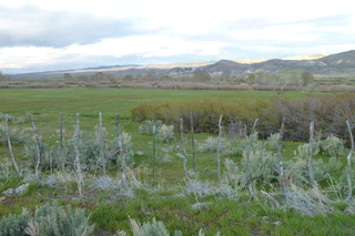 Filename=P1020777.JPG
Filesize=5044KiB
Dimensions=4320x2880
Date added=Sep 23, 2019 P1020777.JPG