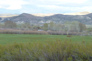 Filename=P1020779.JPG
Filesize=5499KiB
Dimensions=4320x2880
Date added=Sep 23, 2019 P1020779.JPG