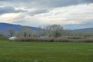 Filename=P1020781.JPG
Filesize=5015KiB
Dimensions=4320x2880
Date added=Sep 23, 2019 P1020781.JPG