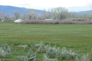 Filename=P1020782.JPG
Filesize=5413KiB
Dimensions=4320x2880
Date added=Sep 23, 2019 P1020782.JPG