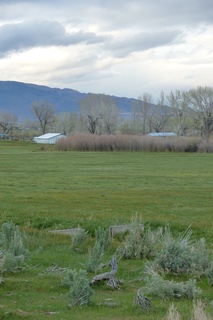 Filename=P1020784.JPG
Filesize=4208KiB
Dimensions=2880x4320
Date added=Sep 23, 2019 P1020784.JPG