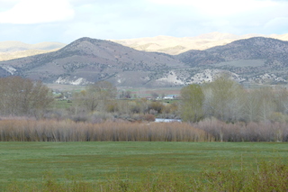 Filename=P1020786.JPG
Filesize=5162KiB
Dimensions=4320x2880
Date added=Sep 23, 2019 P1020786.JPG