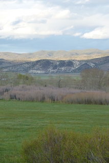 Filename=P1020787.JPG
Filesize=4556KiB
Dimensions=2880x4320
Date added=Sep 23, 2019 P1020787.JPG