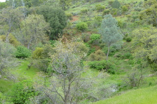 Filename=P1020812.JPG
Filesize=5203KiB
Dimensions=4320x2880
Date added=Sep 23, 2019 P1020812.JPG