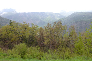 Filename=P1020813.JPG
Filesize=5577KiB
Dimensions=4320x2880
Date added=Sep 23, 2019 P1020813.JPG