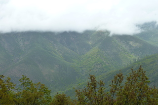 Filename=P1020814.JPG
Filesize=5168KiB
Dimensions=4320x2880
Date added=Sep 23, 2019 P1020814.JPG