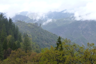 Filename=P1020815.JPG
Filesize=5324KiB
Dimensions=4320x2880
Date added=Sep 23, 2019 P1020815.JPG