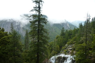 Filename=P1020826.JPG
Filesize=5452KiB
Dimensions=4320x2880
Date added=Sep 23, 2019 P1020826.JPG